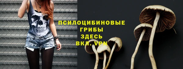 а пвп мука Домодедово