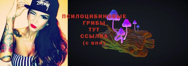 гидра Яровое