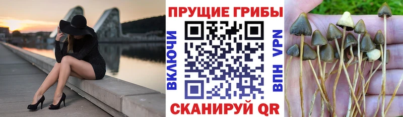 Галлюциногенные грибы мицелий  сколько стоит  Улан-Удэ 