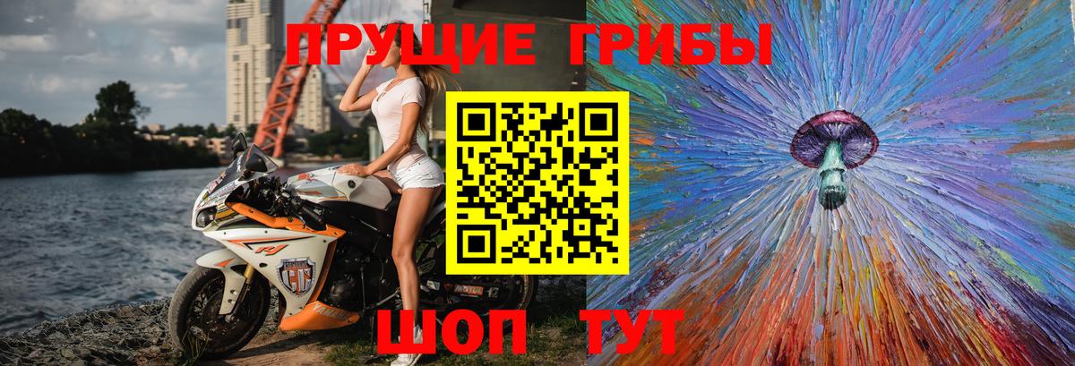 Псилоцибиновые грибы MAGIC MUSHROOMS  Псилоцибиновые грибы Magic Shrooms  Улан-Удэ 