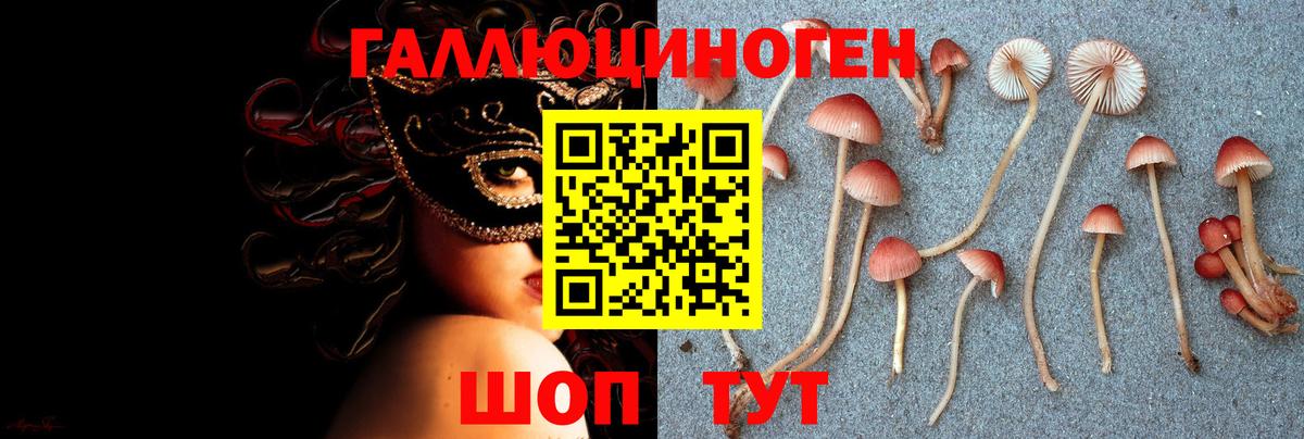 Псилоцибиновые грибы GOLDEN TEACHER Улан-Удэ