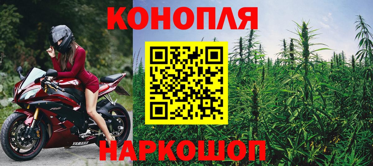 Канабис семена Улан-Удэ